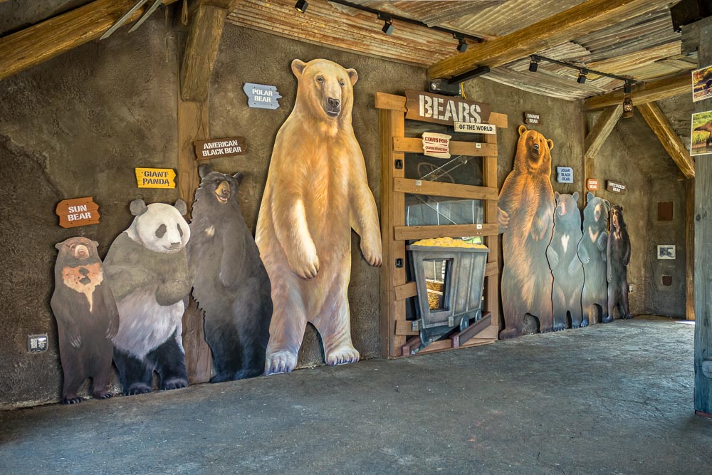 Display Dynamics - Columbus Zoo Polar Frontier