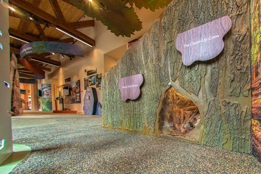 letchworth state park nature center exhibits