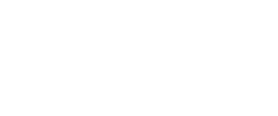 Boonshot Museum Logo