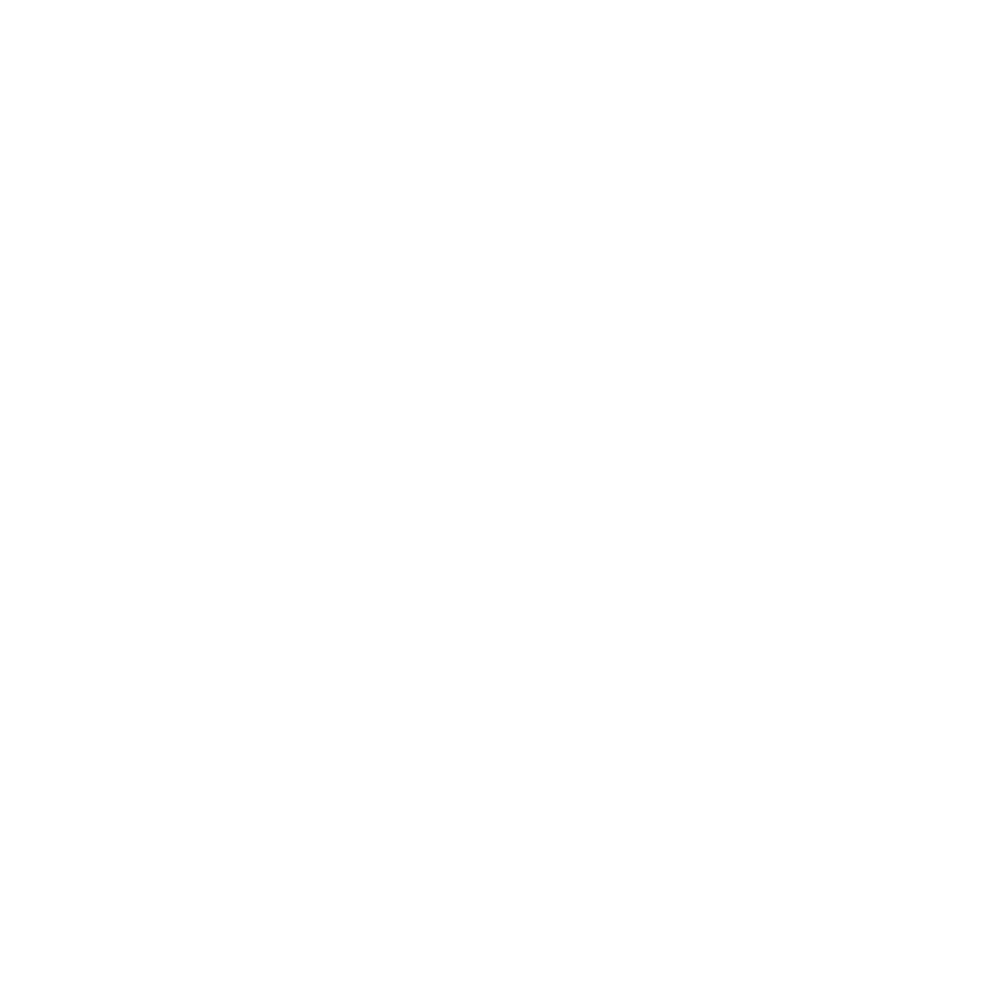 delaware logo